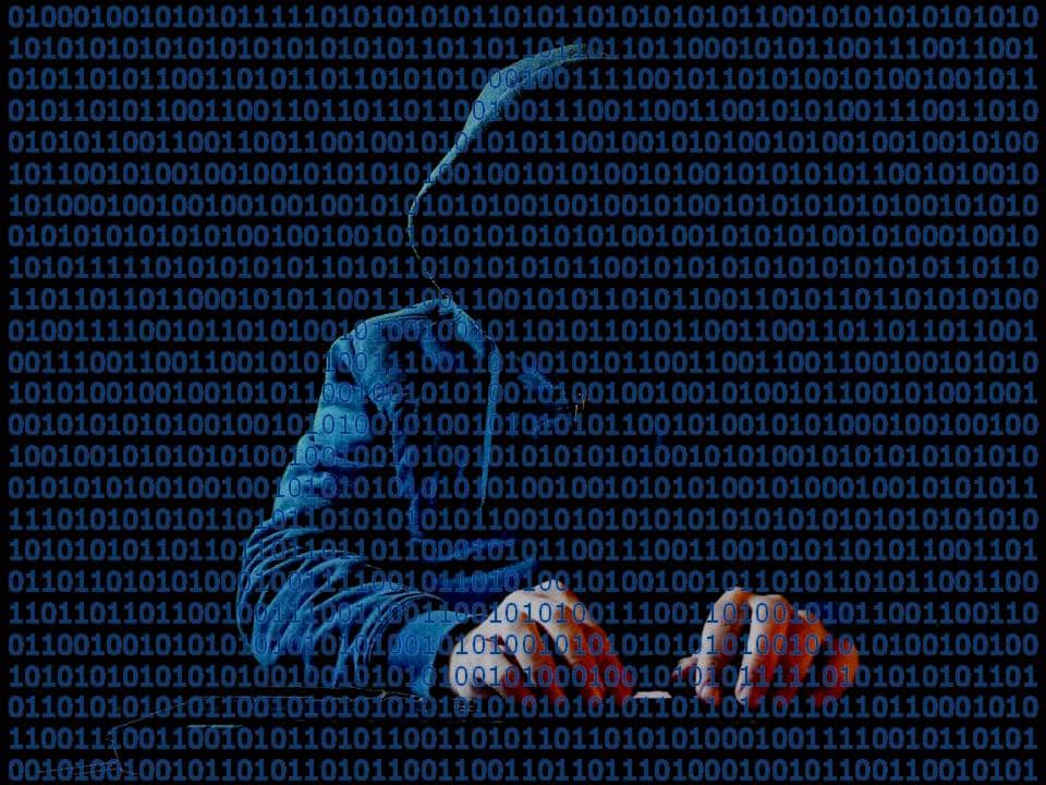 cyberséc