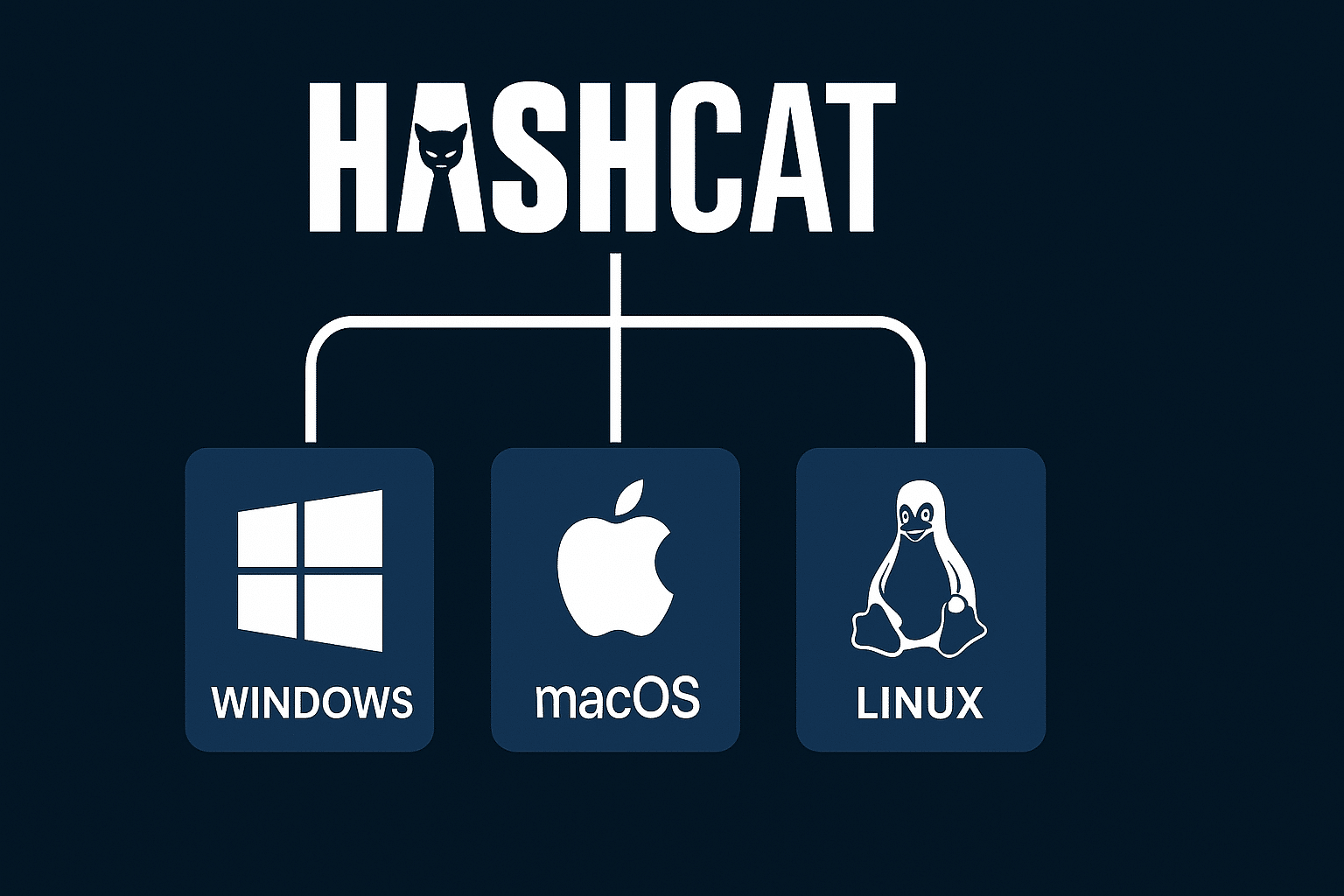 Illustration vectorielle du logo Hashcat connecté aux systèmes d’exploitation Windows, macOS et Linux, symbolisant sa compatibilité multiplateforme dans le domaine du craquage de mots de passe.