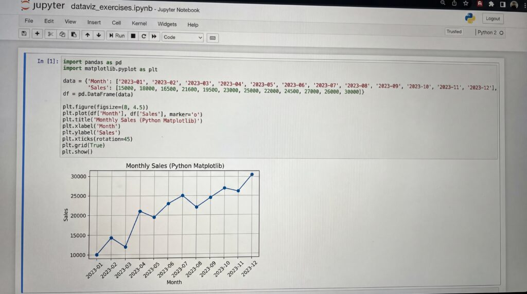 Graphique montrant l'évolution des données mensuelles à l'aide de Python.