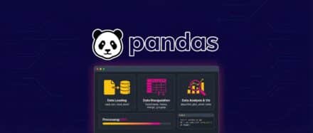 Image de la bibliothèque Pandas pour Python, présentant des graphiques et des données liées à la science des données.