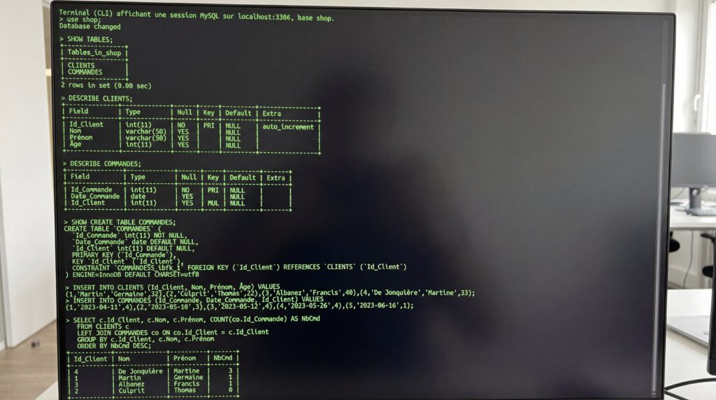 Écran d'ordinateur affichant une interface de terminal avec des commandes et des résultats en texte vert sur fond noir.