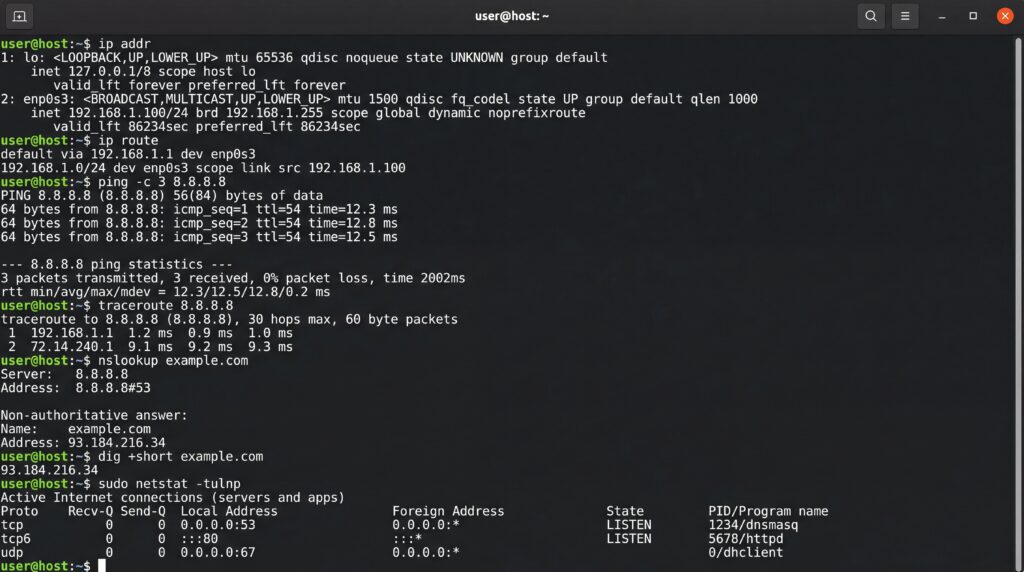 Capture d'écran d'une interface de terminal affichant des informations sur les protocoles réseau.