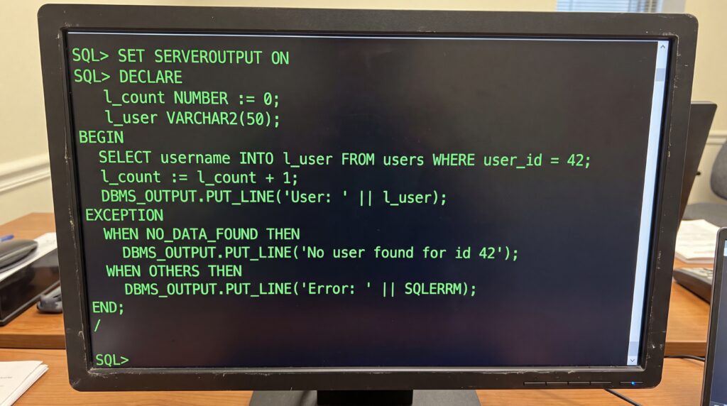 Écran d'ordinateur affichant un code PL/SQL pour extraire des données d'un utilisateur d'une base de données Oracle.