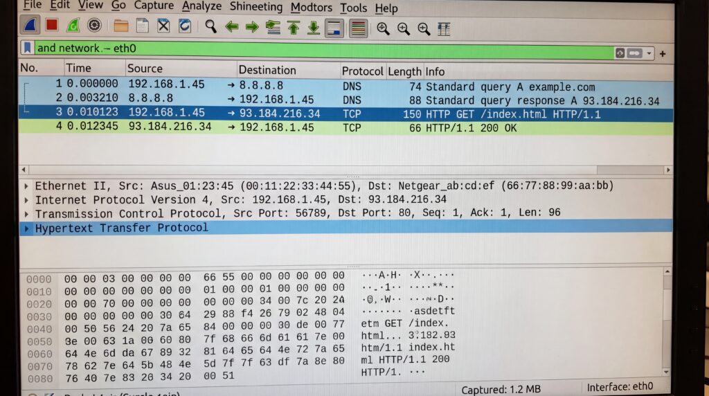 Capture d'écran d'une analyse de trafic réseau montrant les protocoles et les adresses IP.
