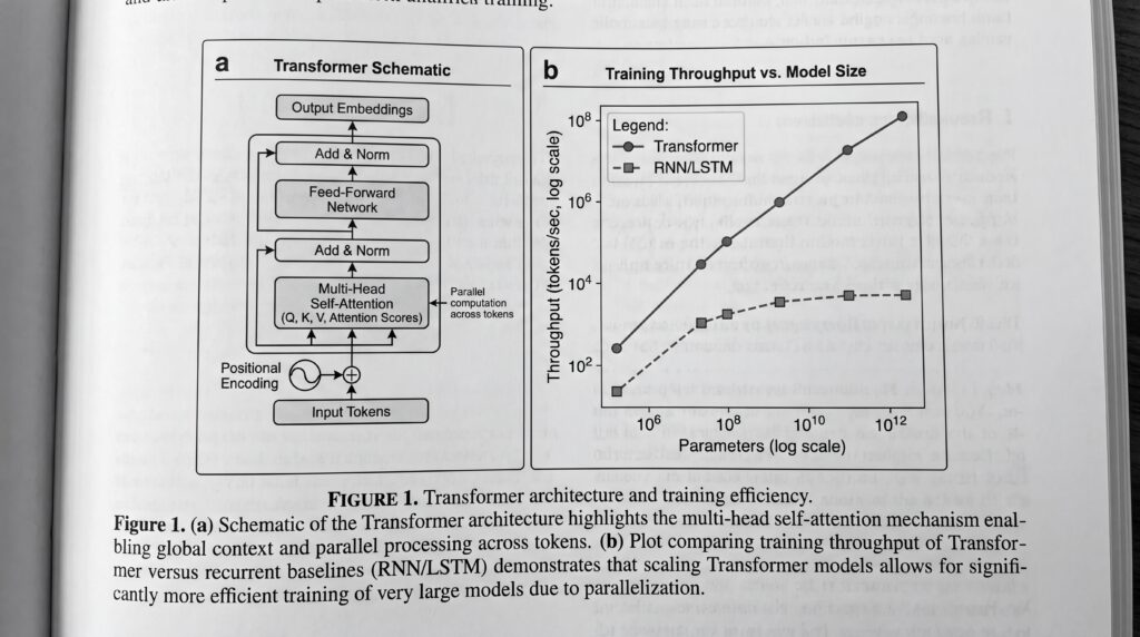 Diagramme illustrant l'architecture des transformeurs et un graphique montrant l'efficacité de l'entraînement avec le nombre de paramètres.