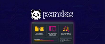 Imagen de la biblioteca Pandas para Python, que presenta gráficos y datos relacionados con la ciencia de datos.