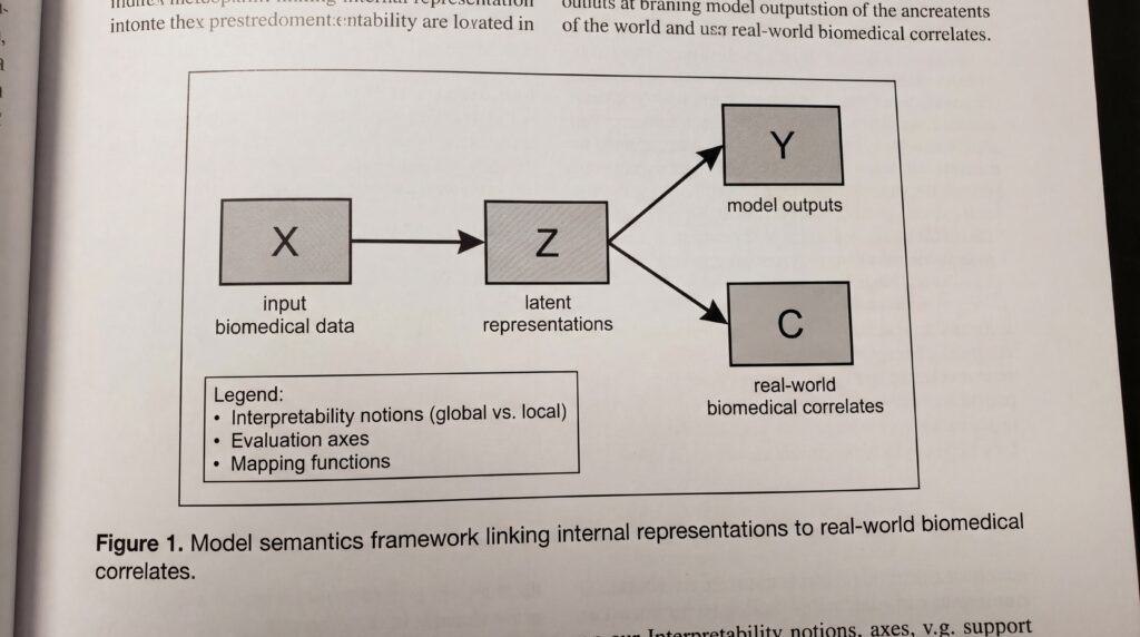 Diagramm zur Veranschaulichung des Model Semantics Frameworks, das interne Repräsentationen mit realen biomedizinischen Korrelaten verknüpft.